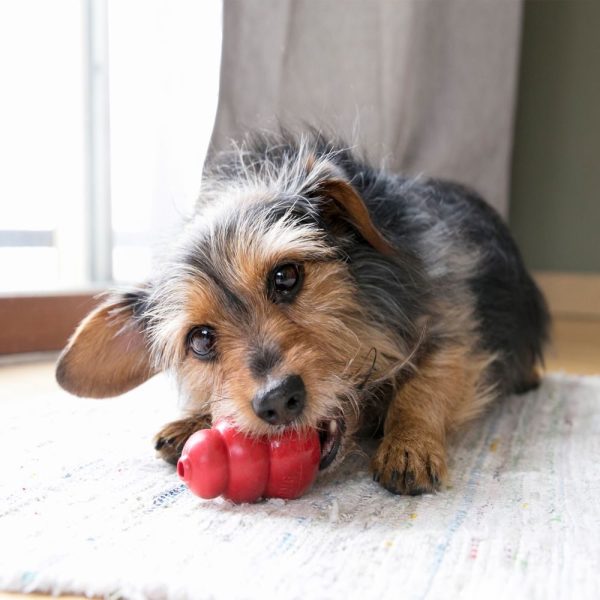 KONG CLASSIC M - JUGUETE PARA PERRO MASTICABLE Y RELLENABLE TAMAÑO M - Imagen 5