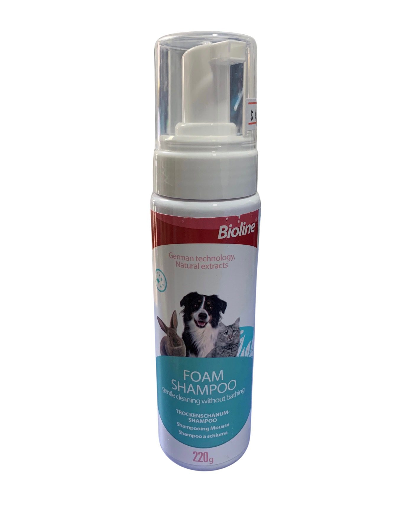 BIOLINE SHAMPOO EN SECO 220G