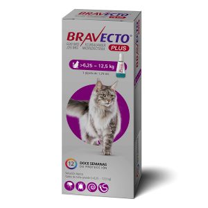 Bravecto plus 1,79 ml gato de 6,25 a 12,5 kg