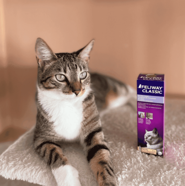 FELIWAY CLASSIC SPRAY  60 ML - Imagen 3