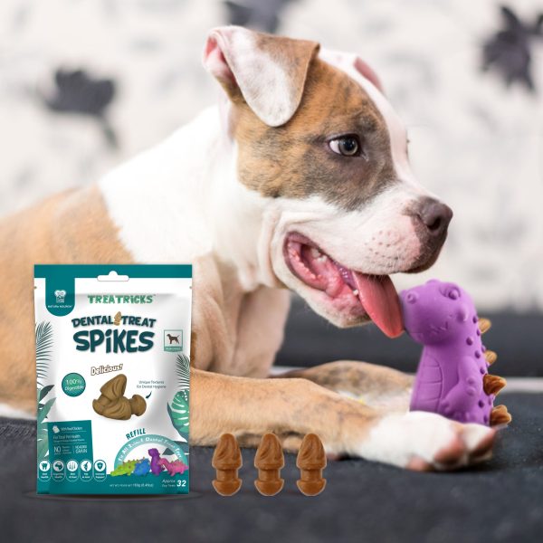 DENTAL TREAT  SPIKES REFILL  183 GR. - Imagen 4