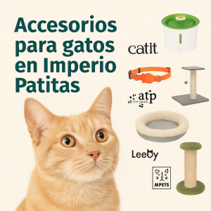 ACCESORIOS