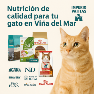 ALIMENTOS
