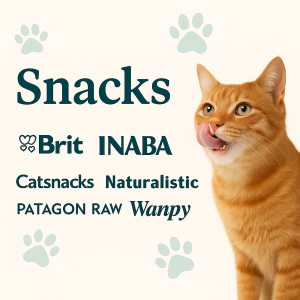 SNACKS