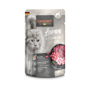 Leonardo Cordero Y Arandanos